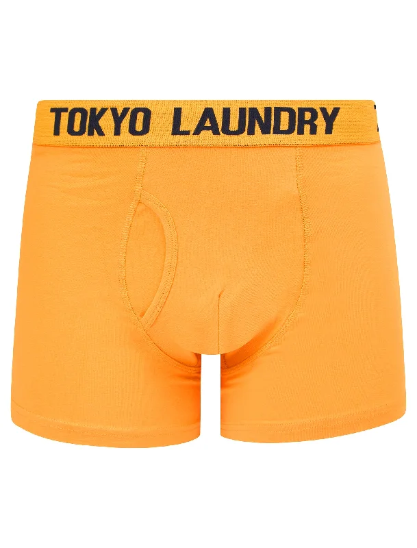 Hillside 2 (2 Pack) Boxer Shorts Set in Mock Orange / Sky Captain Navy - Tokyo Laundry